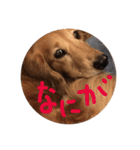 山田プチ②（個別スタンプ：14）