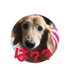 山田プチ②（個別スタンプ：17）