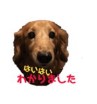 山田プチ②（個別スタンプ：19）