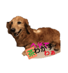 山田プチ②（個別スタンプ：22）