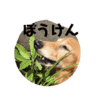 山田プチ②（個別スタンプ：23）