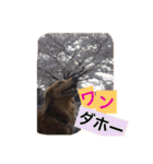 山田プチ②（個別スタンプ：32）