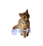 アルファαとラムダλにゃんスタ3（個別スタンプ：11）