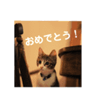 アルファαとラムダλにゃんスタ3（個別スタンプ：20）