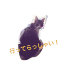 アルファαとラムダλにゃんスタ3（個別スタンプ：22）