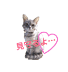 アルファαとラムダλにゃんスタ3（個別スタンプ：23）