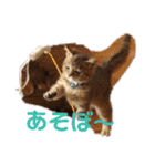 アルファαとラムダλにゃんスタ3（個別スタンプ：27）