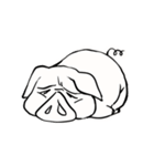 ブタ吉さんの日々（個別スタンプ：19）