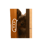 うちのもなちゃん（個別スタンプ：5）