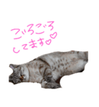 まにスタンプ（個別スタンプ：8）