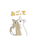 クオンタムねこスタンプ（個別スタンプ：15）