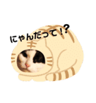 いちごねこのスタンプ（個別スタンプ：6）