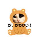 いちごねこのスタンプ（個別スタンプ：14）