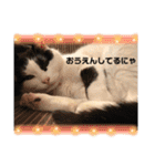 いちごねこのスタンプ（個別スタンプ：19）