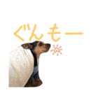 のんびりレゴくん2（個別スタンプ：6）