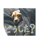 のんびりレゴくん2（個別スタンプ：7）