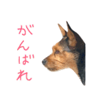 のんびりレゴくん2（個別スタンプ：8）