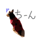 のんびりレゴくん2（個別スタンプ：12）