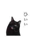 黒猫たるみ3（個別スタンプ：5）
