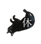 黒猫たるみ3（個別スタンプ：11）
