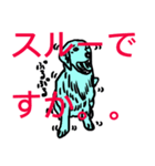 まん☆だん太郎のどうぶつかるたスタンプ（個別スタンプ：13）