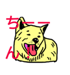 まん☆だん太郎のどうぶつかるたスタンプ（個別スタンプ：21）
