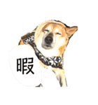 岡家のすず（個別スタンプ：8）