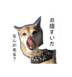 岡家のすず（個別スタンプ：16）