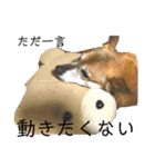 岡家のすず（個別スタンプ：22）