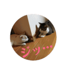くーちゃんとたくのスタンプ（個別スタンプ：1）
