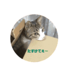 くーちゃんとたくのスタンプ（個別スタンプ：5）