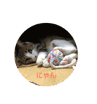 くーちゃんとたくのスタンプ（個別スタンプ：7）