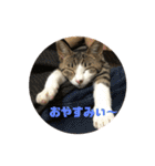 くーちゃんとたくのスタンプ（個別スタンプ：14）