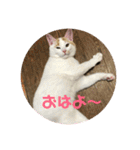くーちゃんとたくのスタンプ（個別スタンプ：20）