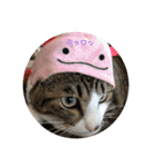 くーちゃんとたくのスタンプ（個別スタンプ：24）