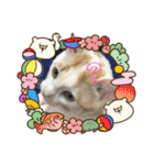 くーちゃんとたくのスタンプ（個別スタンプ：25）