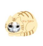 くーちゃんとたくのスタンプ（個別スタンプ：28）