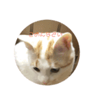 くーちゃんとたくのスタンプ（個別スタンプ：29）