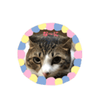 くーちゃんとたくのスタンプ（個別スタンプ：30）
