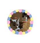 くーちゃんとたくのスタンプ（個別スタンプ：40）