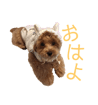 キャラメル色のめるちゃん♡（個別スタンプ：2）