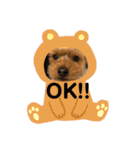 ちょこちゃんのスタンプ♡（個別スタンプ：3）