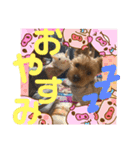 ちょこちゃんのスタンプ♡（個別スタンプ：5）