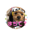 ちょこちゃんのスタンプ♡（個別スタンプ：9）