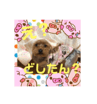 ちょこちゃんのスタンプ♡（個別スタンプ：12）