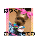 ちょこちゃんのスタンプ♡（個別スタンプ：24）