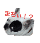 フレブルわんぱく龍馬（個別スタンプ：6）