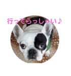 フレブルわんぱく龍馬（個別スタンプ：14）
