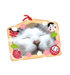ちびた達の日常（個別スタンプ：5）
