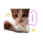 ❤愛しのすーたん❤（個別スタンプ：5）